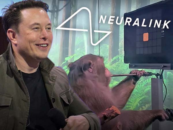 Elon Musk chỉ trích Metaverse