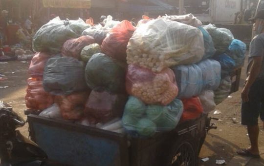 Tôi thua chị hàng xóm tháng kiếm 20 triệu nhờ bỏ mối rau quả