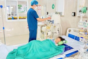 Rắn cạp nia chui từ điều hoà