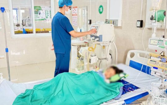 Rắn cạp nia chui từ điều hoà